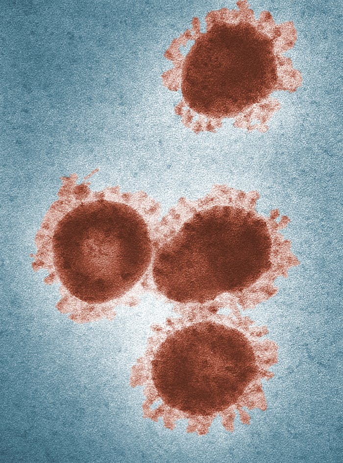 hMPV virus in China