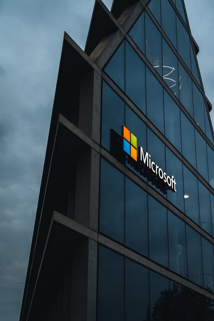 Microsoft investment in India